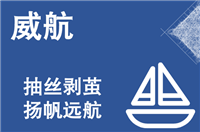WNBA赛事前瞻：神秘人迎战梦想，谁将问鼎巅峰？华盛顿神秘人华盛顿神秘人