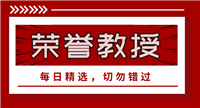 智利联赛主队连战连捷，进球数与比分反差中，揭秘迷雾中的数据密码科金博科金博
