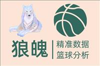成功首战世俱杯，主队喜迎佳绩！深度剖析新战术亮点！帕尔梅拉斯帕尔梅拉斯